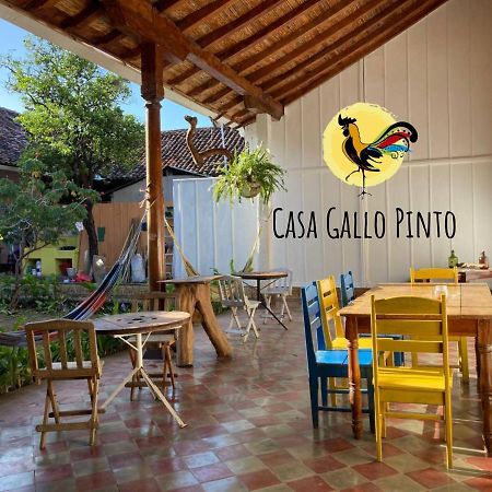 Casa Gallo Pinto 호텔 그라나다 외부 사진