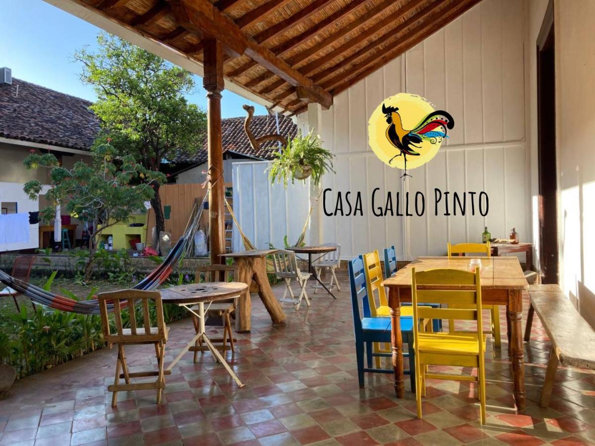 Casa Gallo Pinto 호텔 그라나다 외부 사진